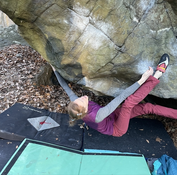 Meet your Posher, Olivia - Picture 3 of 3